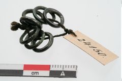 Foto von Bronzering (NHMW-PRAE-024150)